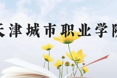 天津城市职业学院近三年在云南录取分数线(含2021-2023最低分)