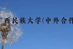广西民族大学(中外合作)近三年在广西录取分数线(含2021-2023最低分)