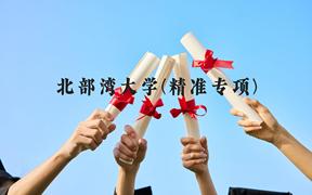 北部湾大学(精准专项)近三年在广西录取分数线(含2021-2023最低分)