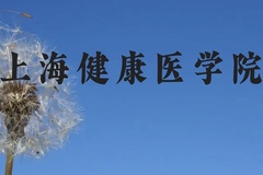 上海健康医学院近三年在广西录取分数线(含2021-2023最低分)