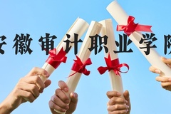 安徽审计职业学院近三年在云南录取分数线(含2021-2023最低分)
