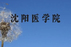 沈阳医学院近三年在云南录取分数线(含2021-2023最低分)