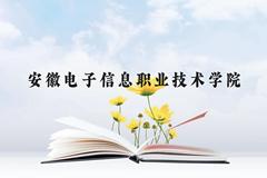 安徽电子信息职业技术学院近三年在贵州录取分数线(含2021-2023最低分)