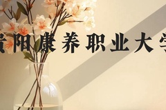 贵阳康养职业大学近三年在贵州录取分数线(含2021-2023最低分)