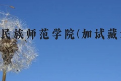 甘肃民族师范学院(加试藏语文)近三年在云南录取分数线(含2021-2023最低分)