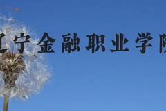辽宁金融职业学院近三年在云南录取分数线(含2021-2023最低分)
