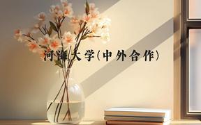 河海大学(中外合作)近三年在广西录取分数线(含2021-2023最低分)