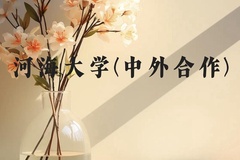 河海大学(中外合作)近三年在广西录取分数线(含2021-2023最低分)