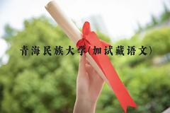 青海民族大学(加试藏语文)近三年在云南录取分数线(含2021-2023最低分)