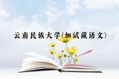 云南民族大学(加试藏语文)近三年在云南录取分数线(含2021-2023最低分)