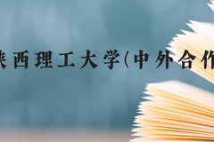 陕西理工大学(中外合作)近三年在云南录取分数线(含2021-2023最低分)
