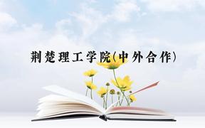 荆楚理工学院(中外合作)近三年在贵州录取分数线(含2021-2023最低分)