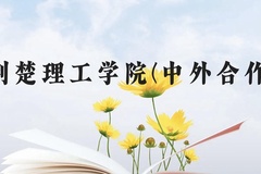 荆楚理工学院(中外合作)近三年在贵州录取分数线(含2021-2023最低分)