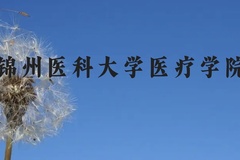 锦州医科大学医疗学院近三年在云南录取分数线(含2021-2023最低分)
