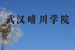武汉晴川学院近三年在贵州录取分数线(含2021-2023最低分)
