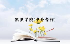 凯里学院(中外合作)近三年在贵州录取分数线(含2021-2023最低分)