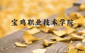 宝鸡职业技术学院近三年在广西录取分数线(含2021-2023最低分)