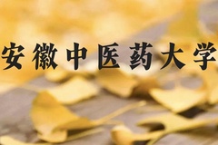 安徽中医药大学近三年在广西录取分数线(含2021-2023最低分)