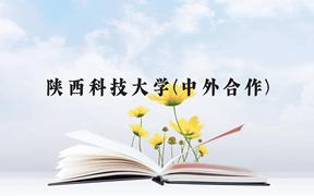 陕西科技大学(中外合作)近三年在贵州录取分数线(含2021-2023最低分)