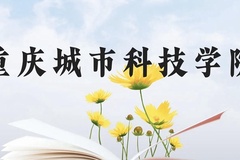 重庆城市科技学院近三年在云南录取分数线(含2021-2023最低分)