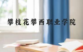 攀枝花攀西职业学院近三年在广西录取分数线(含2021-2023最低分)