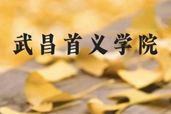 武昌首义学院近三年在云南录取分数线(含2021-2023最低分)