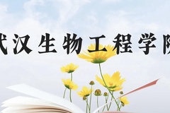 武汉生物工程学院近三年在云南录取分数线(含2021-2023最低分)