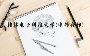 桂林电子科技大学(中外合作)近三年在广西录取分数线(含2021-2023最低分)