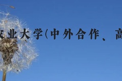 新疆农业大学(中外合作、高收费)近三年在贵州录取分数线(含2021-2023最低分)