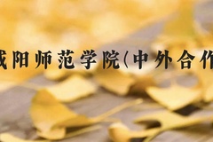 咸阳师范学院(中外合作)近三年在云南录取分数线(含2021-2023最低分)