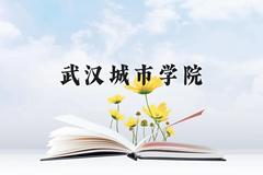 武汉城市学院近三年在云南录取分数线(含2021-2023最低分)