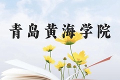 青岛黄海学院近三年在云南录取分数线(含2021-2023最低分)