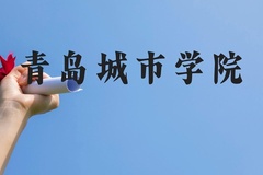 青岛城市学院近三年在云南录取分数线(含2021-2023最低分)