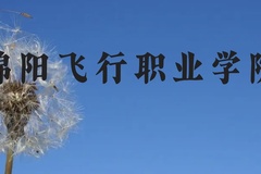 绵阳飞行职业学院近三年在贵州录取分数线(含2021-2023最低分)