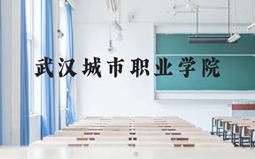 武汉城市职业学院近三年在广西录取分数线(含2021-2023最低分)