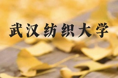 武汉纺织大学近三年在广西录取分数线(含2021-2023最低分)