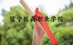 辽宁医药职业学院近三年在广西录取分数线(含2021-2023最低分)