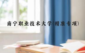 南宁职业技术大学(精准专项)近三年在广西录取分数线(含2021-2023最低分)