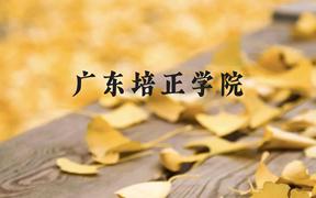 广东培正学院近三年在广西录取分数线(含2021-2023最低分)