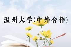 温州大学(中外合作)近三年在云南录取分数线(含2021-2023最低分)