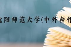 沈阳师范大学(中外合作)近三年在贵州录取分数线(含2021-2023最低分)
