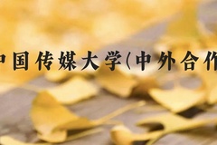 中国传媒大学(中外合作)近三年在广西录取分数线(含2021-2023最低分)