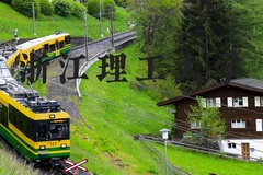 浙江理工大学近三年在河北录取分数线(含2022-2024最低分)