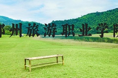 郑州旅游职业学院近三年在河北录取分数线(含2022-2024最低分)