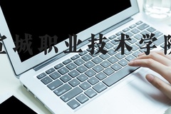宣城职业技术学院近三年在河北录取分数线(含2022-2024最低分)