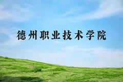 德州职业技术学院近三年在河北录取分数线(含2022-2024最低分)