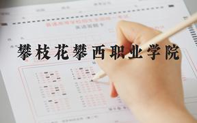 攀枝花攀西职业学院近三年在河北录取分数线(含2022-2024最低分)