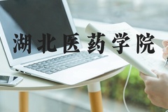 湖北医药学院近三年在河北录取分数线(含2022-2024最低分)