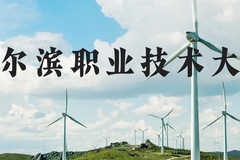 哈尔滨职业技术大学近三年在河北录取分数线(含2022-2024最低分)
