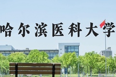 哈尔滨医科大学近三年在河北录取分数线(含2022-2024最低分)